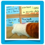 Sessionwand mit Fuchs (#ruvday) Foto: DoSchu